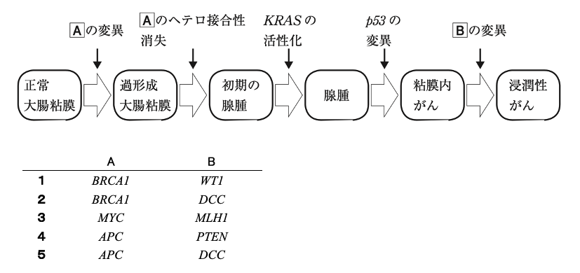 解説画像